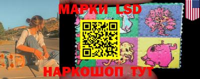 apvp Можга