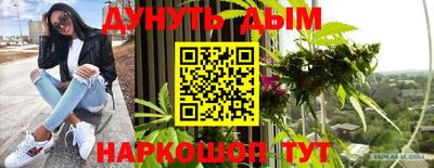 apvp Можга