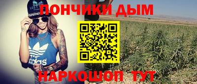 сатива Можайск