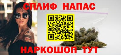 мдпв Моздок